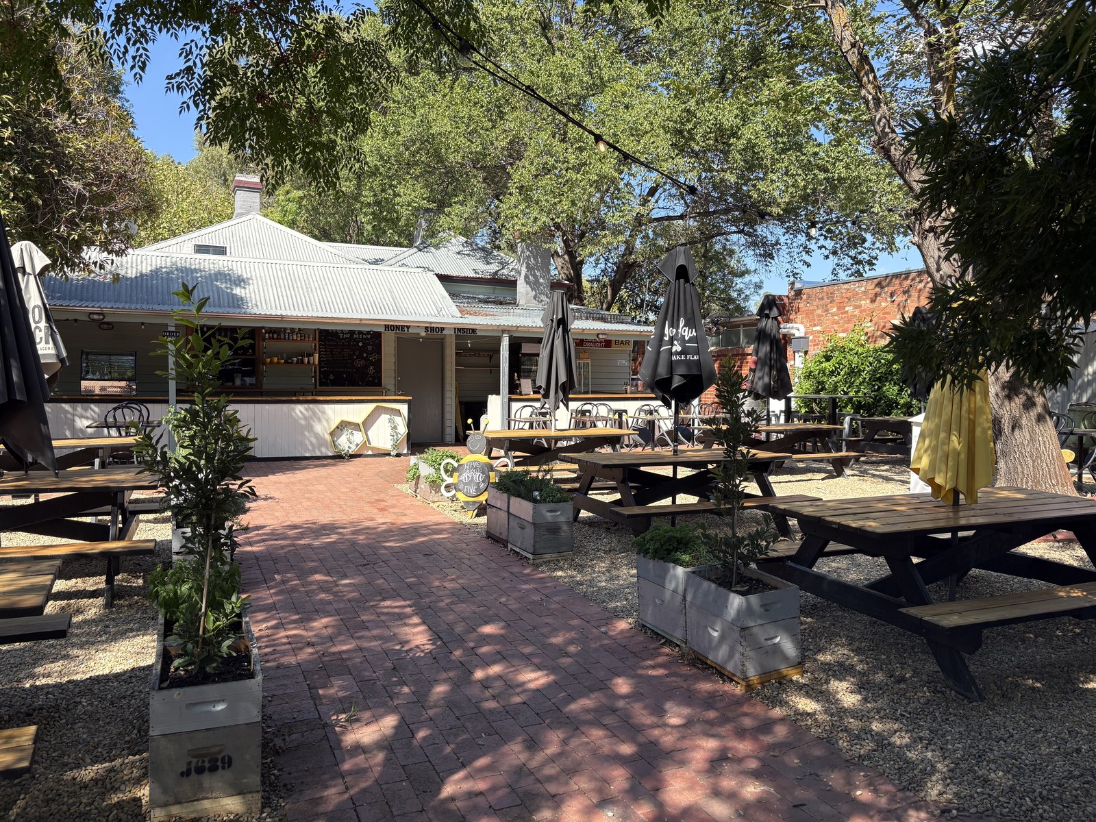 Out the back in the beer garden - the perfect spot to soak up the sun